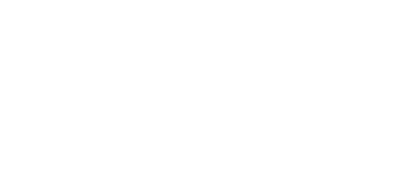 lvi pontevedra logo1 lvi pontevedra logo1